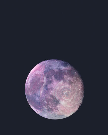 Rose Moon