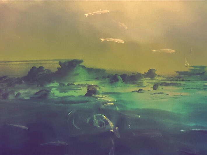 Lakesky