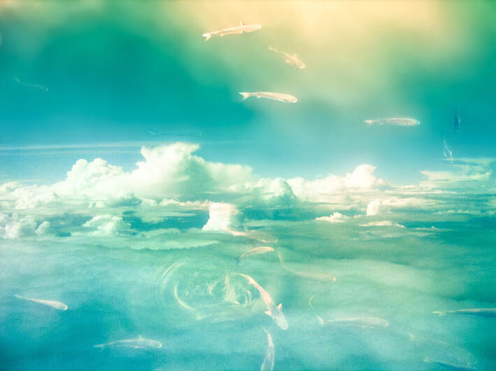 Skylake